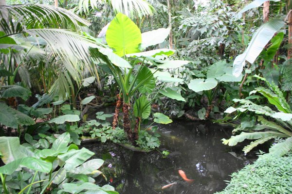 Palmiarnia Poznańska by null