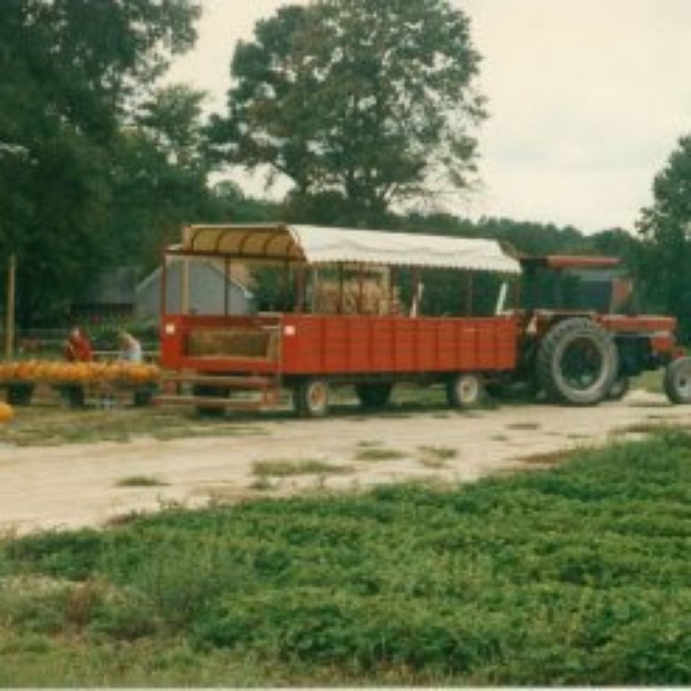 Powell's Roadside Market - Hayride! photo credit: www.powellsroadsidemarket.com - Farmers Market Near Me - Moyock, North Carolina Powell's Roadside Market - Hayride! photo credit: www.powellsroadsidemarket.com - Farmers Market Near Me - Moyock, North Carolina