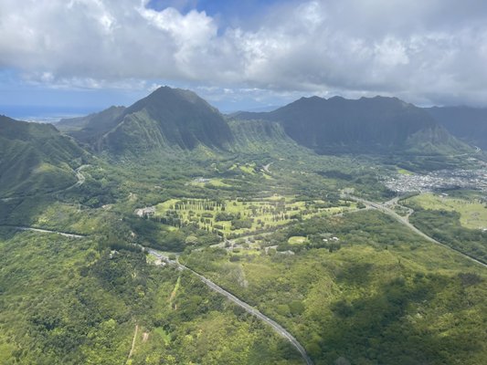 Blue Hawaiian Helicopters by null