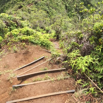 Kuliouou Ridge Trail - Some of the steps. - Hiking Near Me - Honolulu, Hawaii Kuliouou Ridge Trail - Some of the steps. - Hiking Near Me - Honolulu, Hawaii