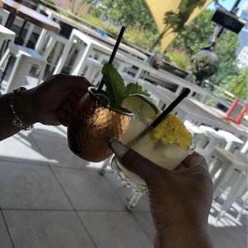 Darling Aviary - Bars Near Me - Sacramento, California Darling Aviary - Bars Near Me - Sacramento, California