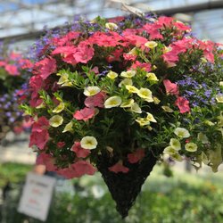 Gardens & Beyond