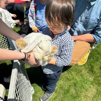 Sheep and Wool Festival - So happy hoppy! - Festivals Near Me - Chestnut Ridge, New York Sheep and Wool Festival - So happy hoppy! - Festivals Near Me - Chestnut Ridge, New York