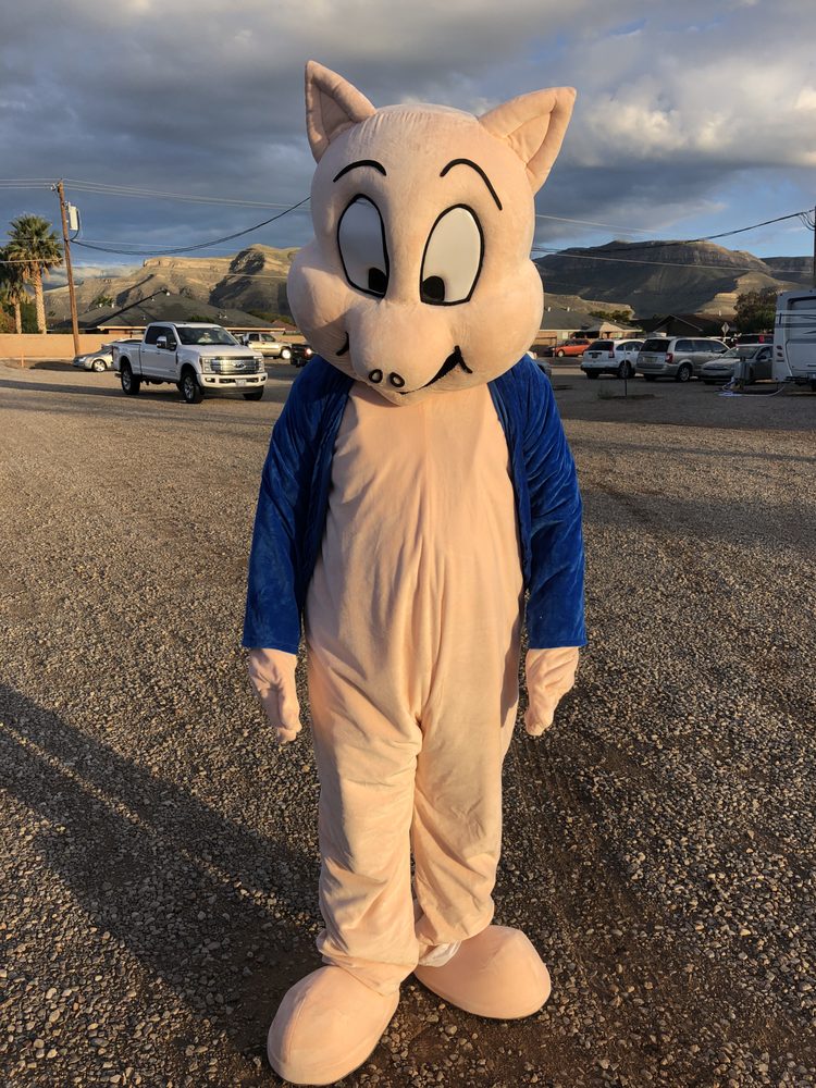 PORKY’S HEATING & COOLING Updated September 2024 3360 Scenic Dr