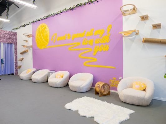 Purrfecto Cat Lounge by null