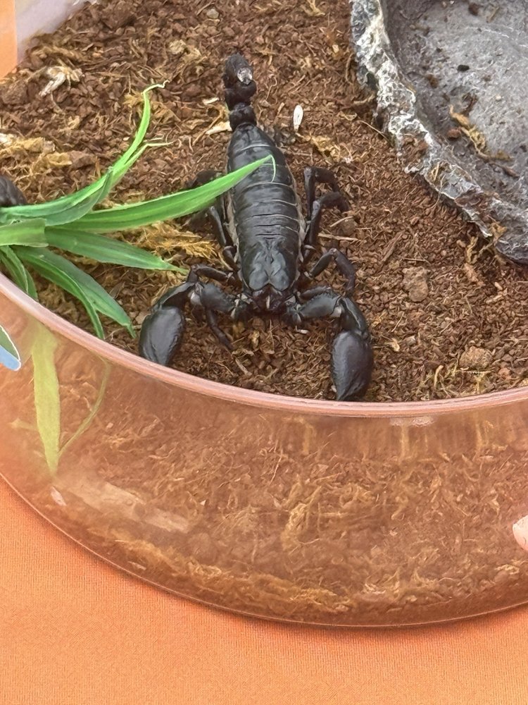 Food from 4th Ave Food Park