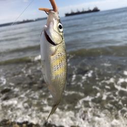 Highwater Tackle