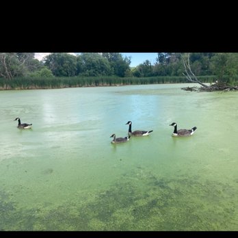 Dodge Nature Center - Parks Near Me - West Saint Paul, Minnesota Dodge Nature Center - Parks Near Me - West Saint Paul, Minnesota