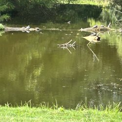 Big Walnut Golf Course
