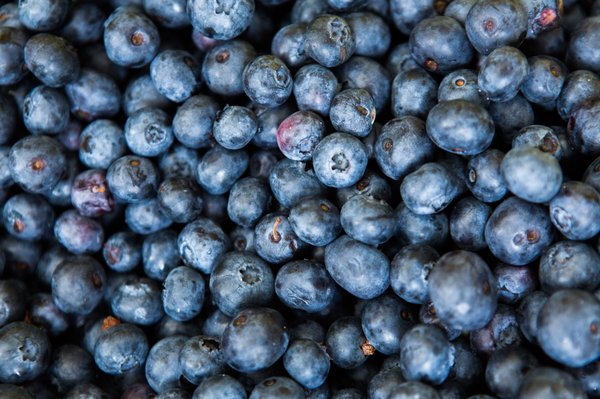 Printers Row Farmers Market by null