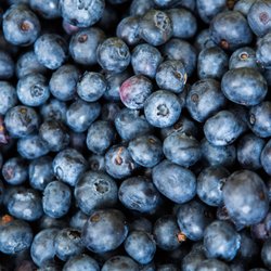 South Loop Farmers Market