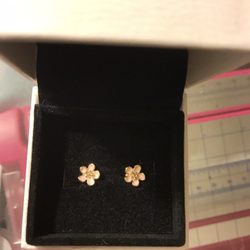 Precious Accents II Ltd