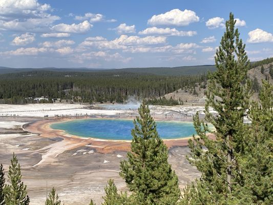 Grand Prismatic Spring by null