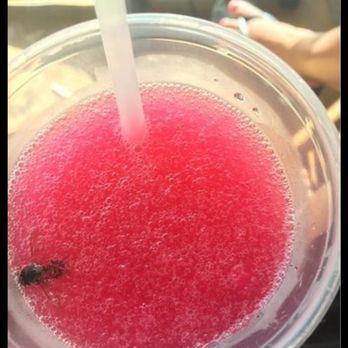 The Sandbar - The drink that got my ID taken. - Karaoke Near Me - Ocean City, Maryland The Sandbar - The drink that got my ID taken. - Karaoke Near Me - Ocean City, Maryland
