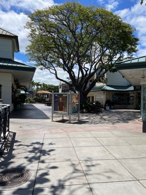 Kings' Shops by null