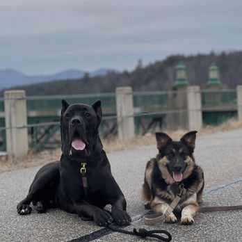 Nymira's Canine Academy - Pet Training Near Me - Allentown, Pennsylvania Nymira's Canine Academy - Pet Training Near Me - Allentown, Pennsylvania