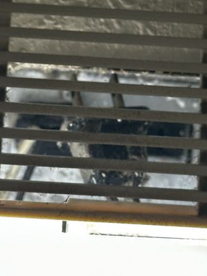 Kelleys Island Venture Resort by null