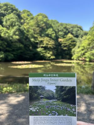 Meiji Jingu by null