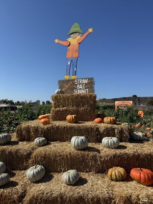 Tanaka Farms by null