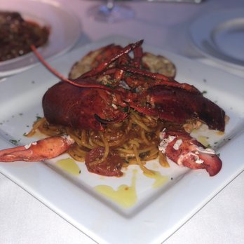 Ferraro's Kitchen - Lobster pasta (special) - Wine Bars Near Me - Miami, Florida