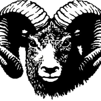 RAM Inspections - Home Inspectors Near Me - Honolulu, Hawaii RAM Inspections - Home Inspectors Near Me - Honolulu, Hawaii