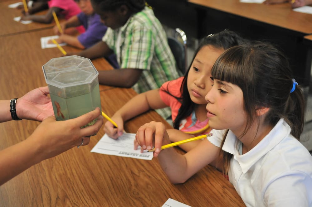 California Educational Centers - reading tutor in Cerritos, CA