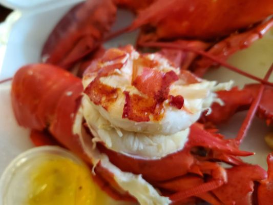 Bar Harbor Seafood by null