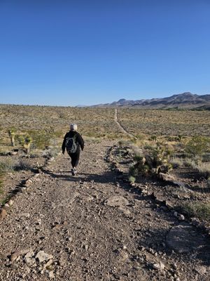 Pahranagat National Wildlife Refuge by null
