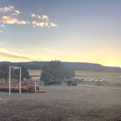 Jack-A-Lope Acres