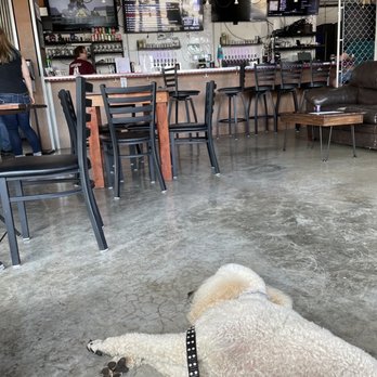 Oppidan Spirits - Poodle resting on the floor. - Distilleries Near Me - Waukegan, Illinois Oppidan Spirits - Poodle resting on the floor. - Distilleries Near Me - Waukegan, Illinois