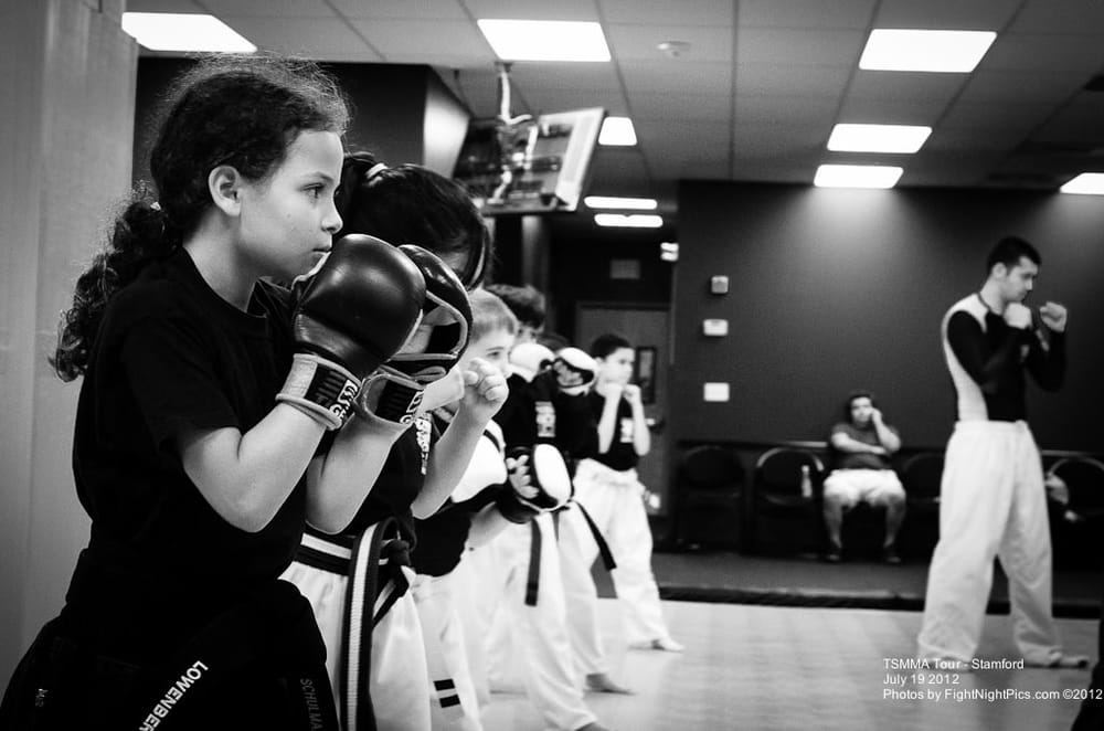 Tiger Schulmann's Martial Arts - Stamford Logo