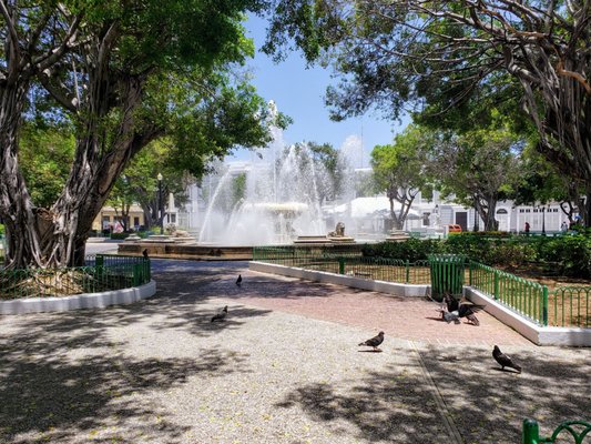 Plaza Luis Muñoz Rivera by null