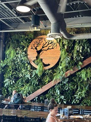 MadTree Brewing by null