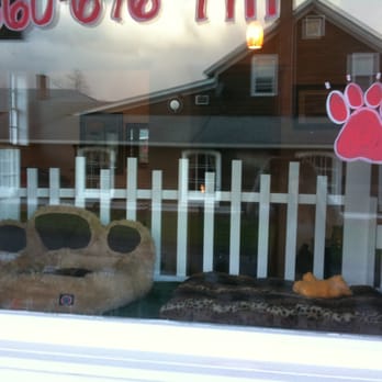 Paw Spa Avon - The window seat! watch the world go by as you relax at the spa... - Pet Groomers Near Me - Avon, Connecticut