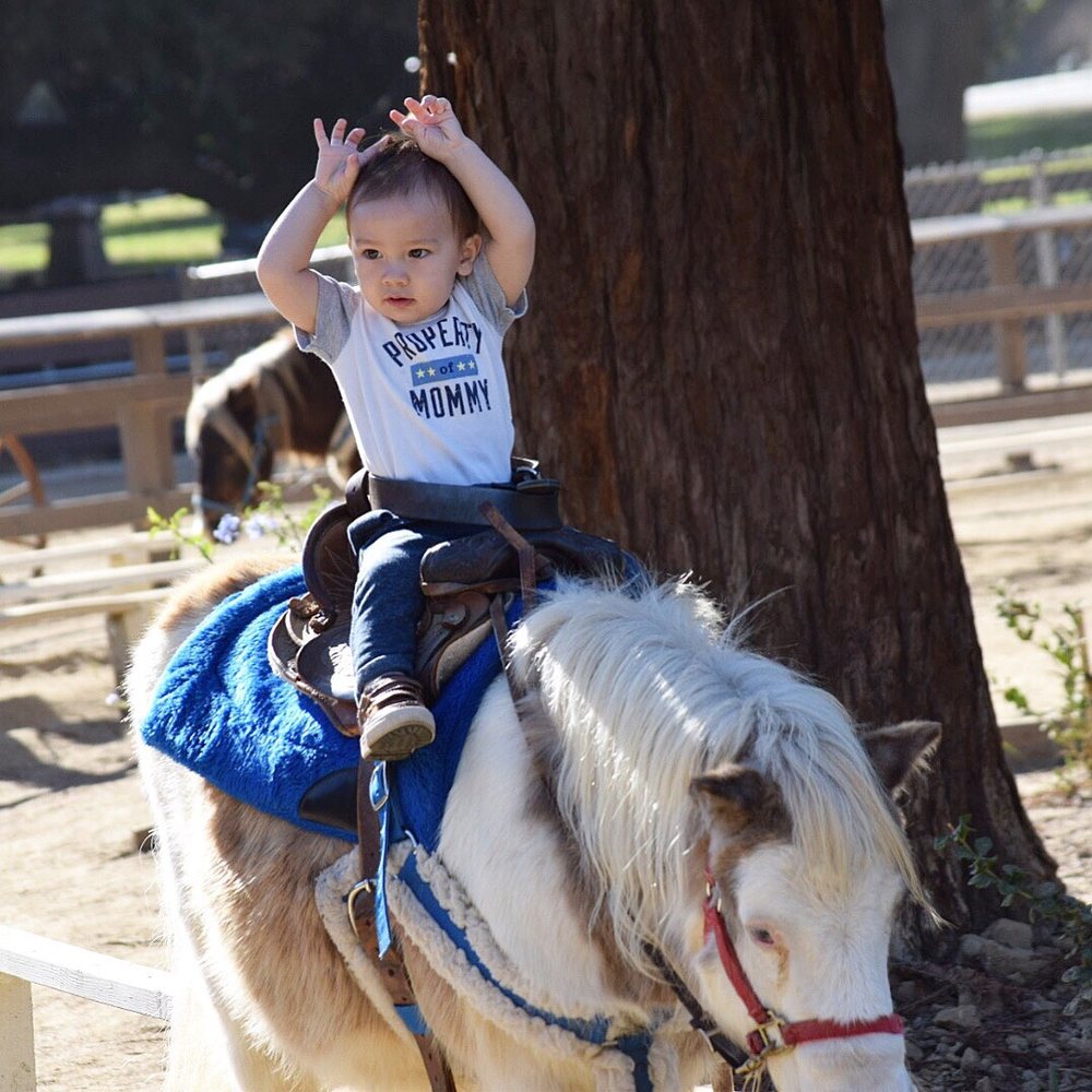 Griffith Park Pony Ride 2019 All You Need to Know BEFORE You Go (with