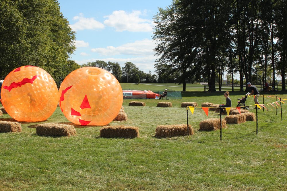 Photos for Lehner's Pumpkin Farm - Yelp
