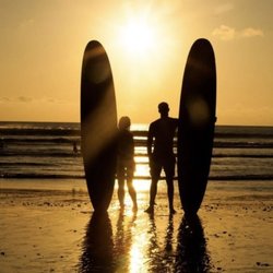 Boss Frog's Snorkel, Bike & Beach Rentals - Sunset surf sesh? Don't mind if I do! GET YOUR BOARD(S) TODAY!