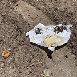 Carne Asada Burrito