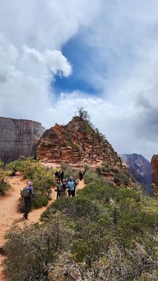 Angels Landing by null