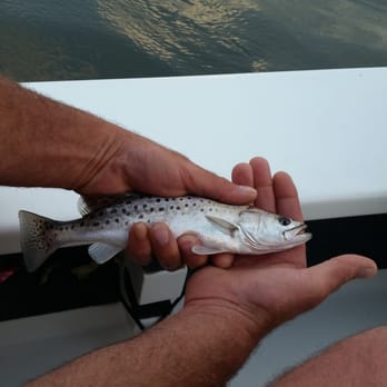 Angle Pursuit Outfitters - Fishing Near Me Angle Pursuit Outfitters - Fishing Near Me