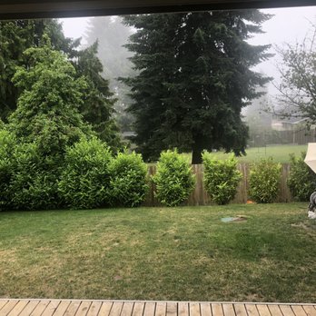 Ricky's Landscaping and Gardening Services - Part of the backyard that was sloped - Gardeners Near Me