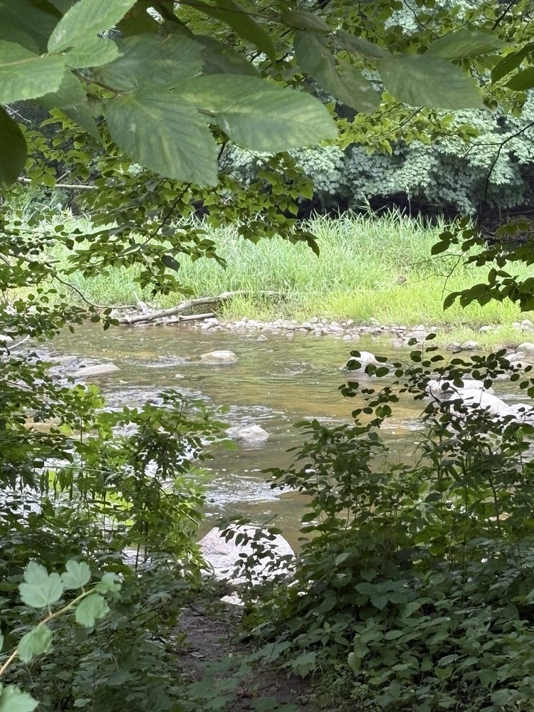 Camden State Park Logo