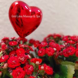 ​We treat every client like family with genuine care and professional healing. Experience relaxation in Santa Rosa.