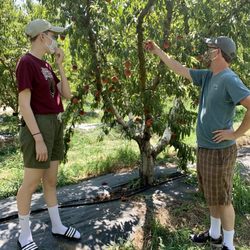 The Cloverleaf Farm - Abundance