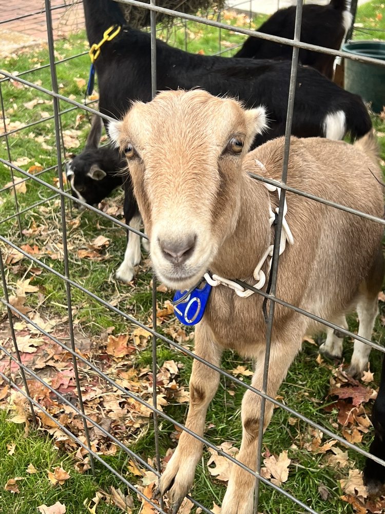 THE GREENE STREET MARKET 131 Photos 208 Greene St NE, Huntsville, AL Yelp