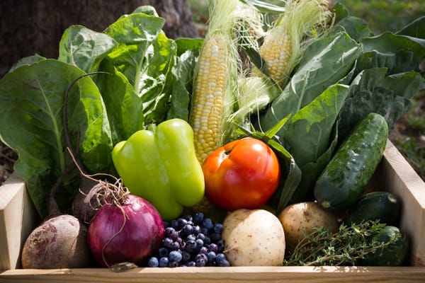 Boston Organics by null