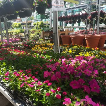 The Home Depot - Nurseries & Gardening Near Me - Grand Prairie, Texas