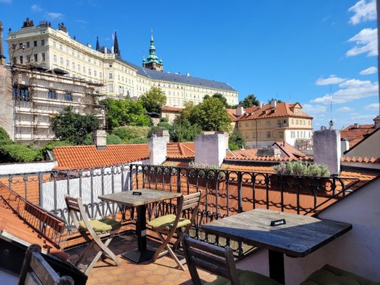 Vegan's Prague by null