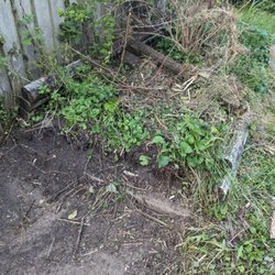 Eager Beaver Tree Service - Same here, destroyed the box and threw the wood around. My grandfather built these and now they are ruined.