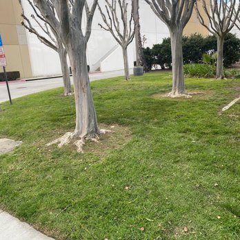 Sage Landcrafters - Lawn Services Near Me - Perris, California Sage Landcrafters - Lawn Services Near Me - Perris, California
